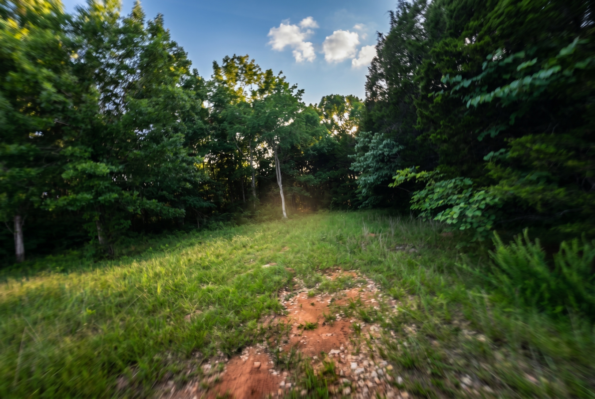 Prompt: Sharpen and color correct these action cam images with dappled realistic sunlight and intentional motion blur depending on speed - dynamic recreational land marketing