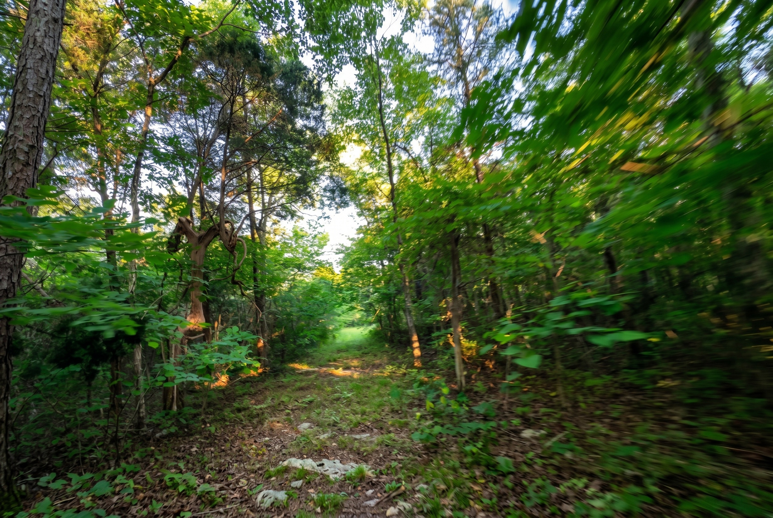 Prompt: Sharpen and color correct these action cam images with dappled realistic sunlight and intentional motion blur depending on speed - dynamic recreational land marketing