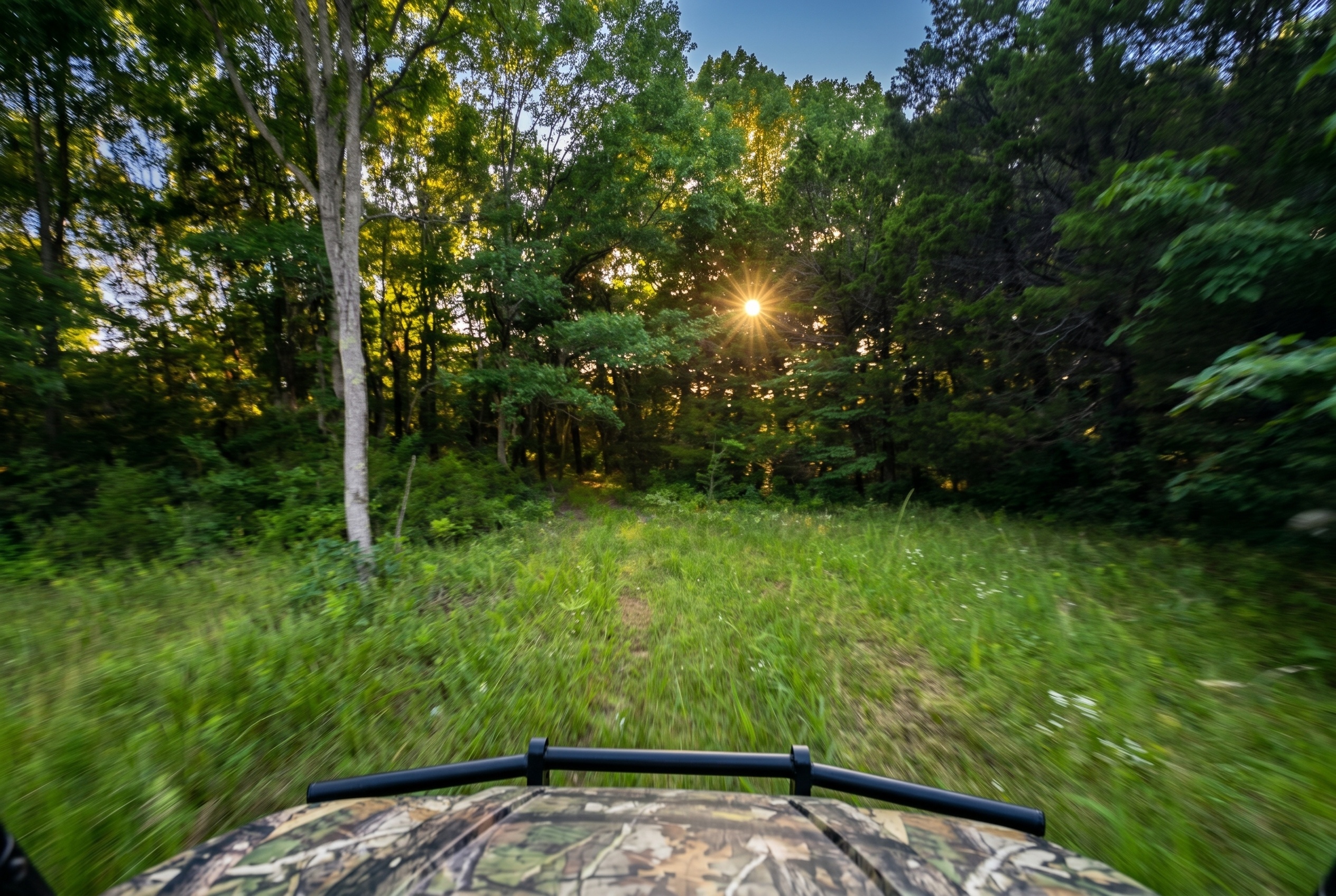 Prompt: Sharpen and color correct these action cam images with dappled realistic sunlight and intentional motion blur depending on speed - dynamic recreational land marketing