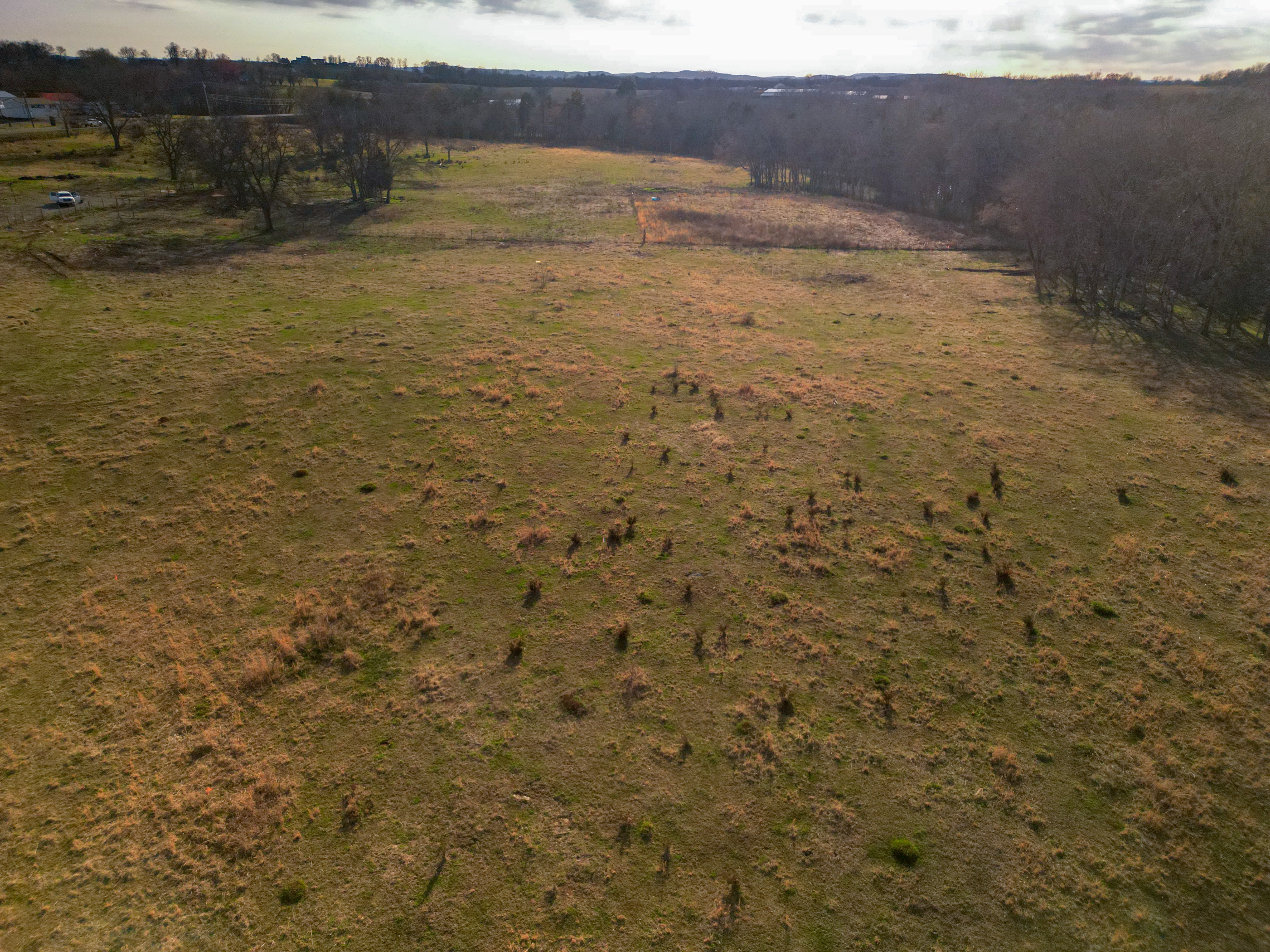 dji_fly_20260220_151134_5_1771627802991_photo