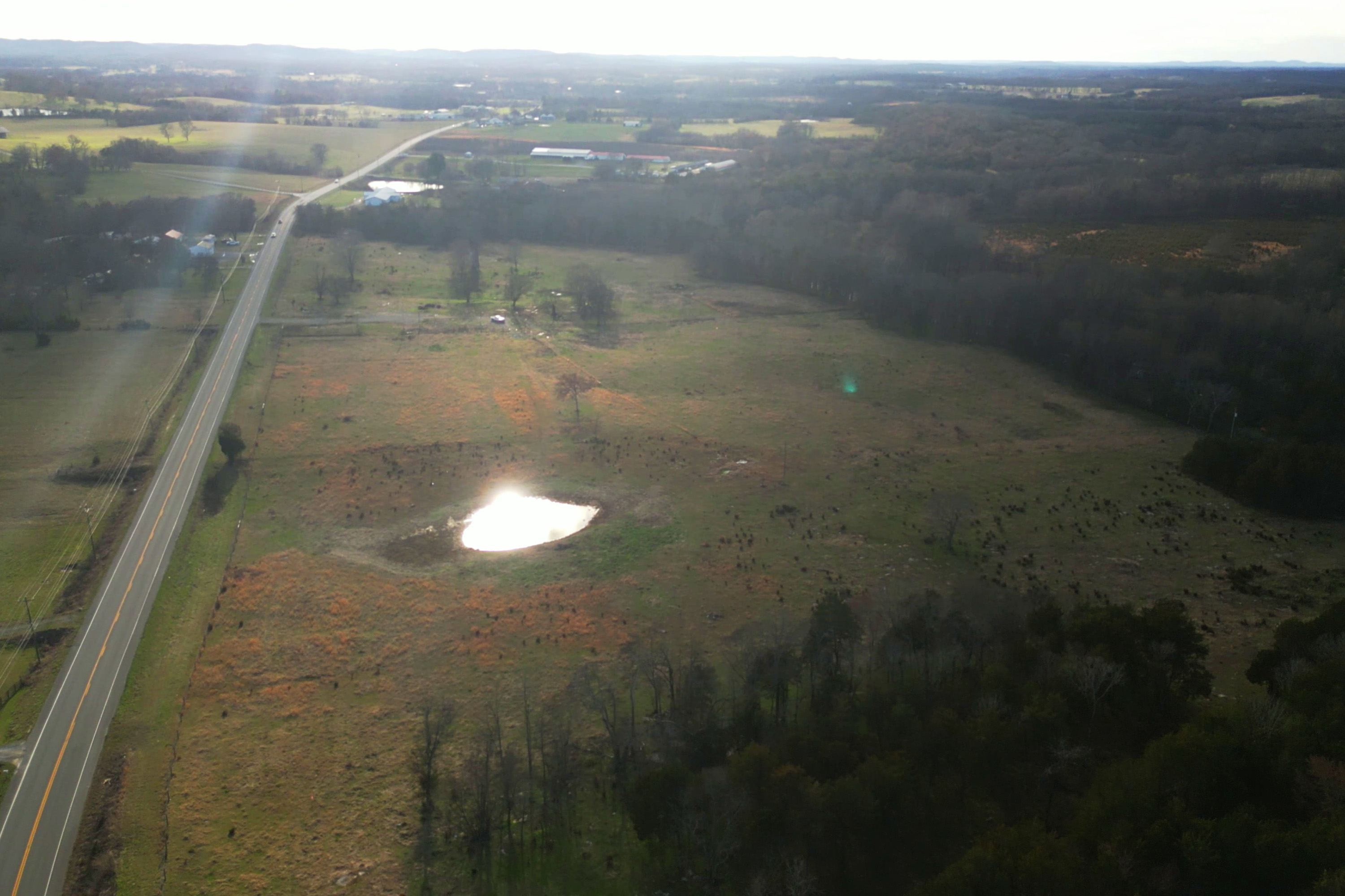 misc-ground-detail-3