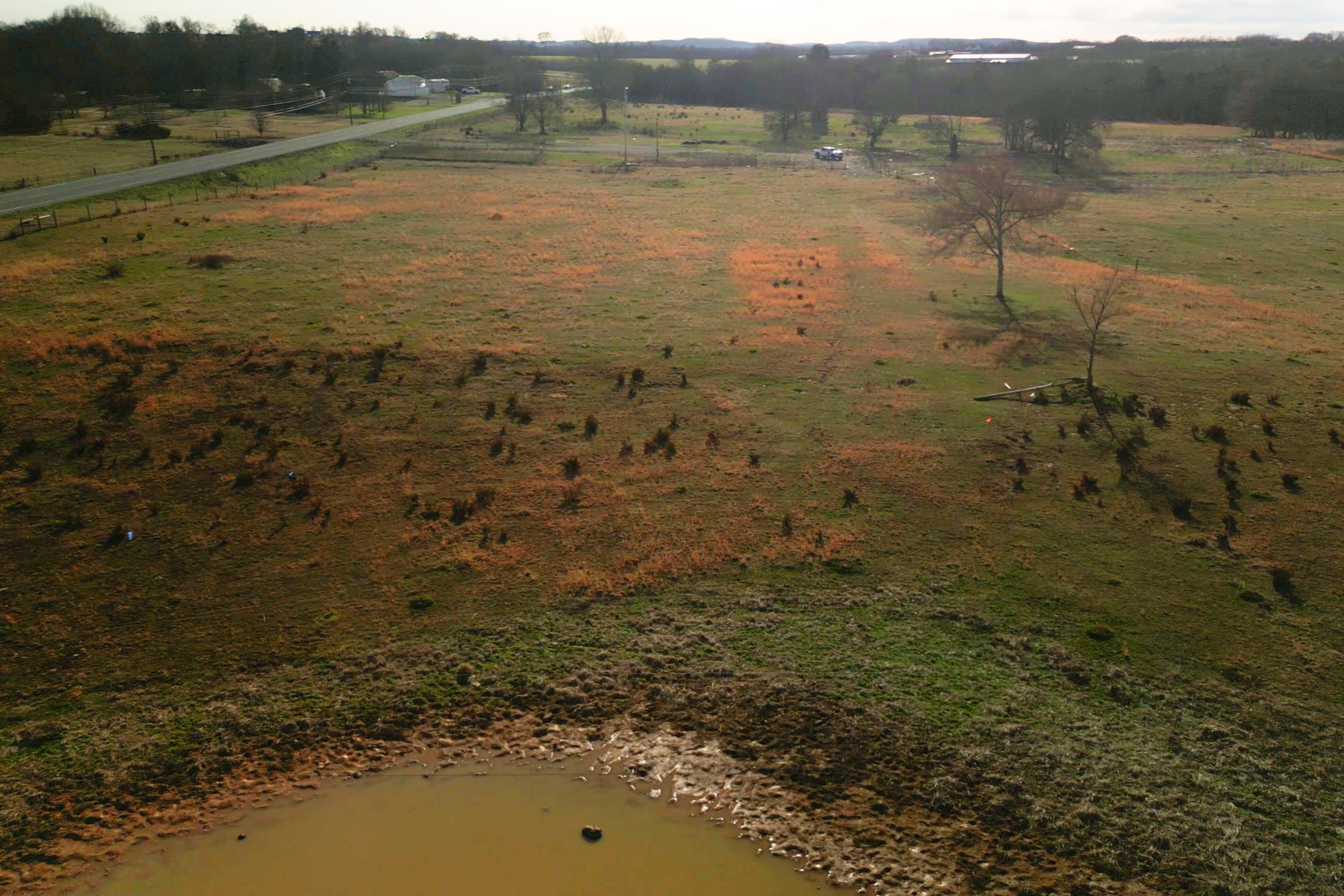 misc-ground-detail-37