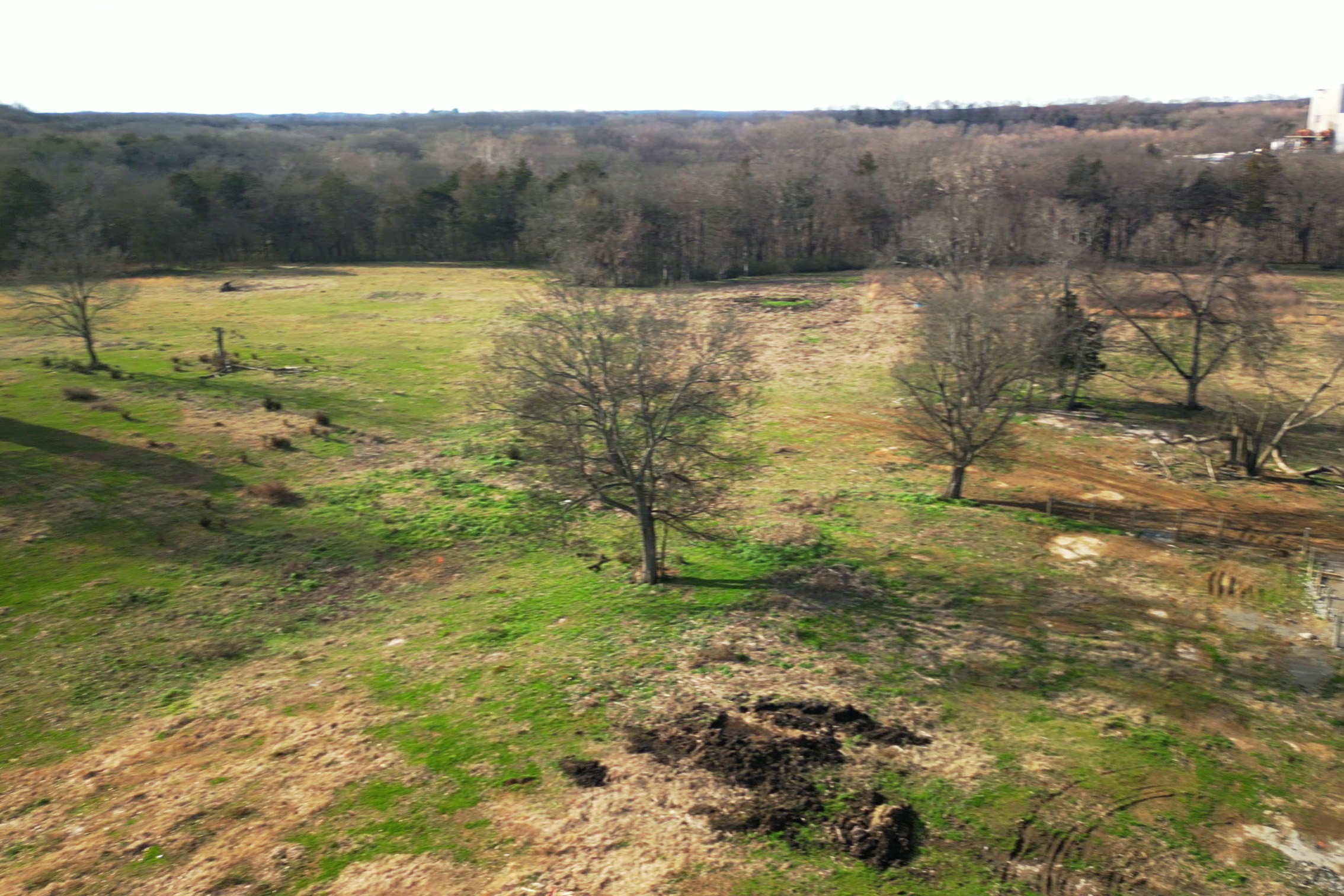 misc-ground-detail-40