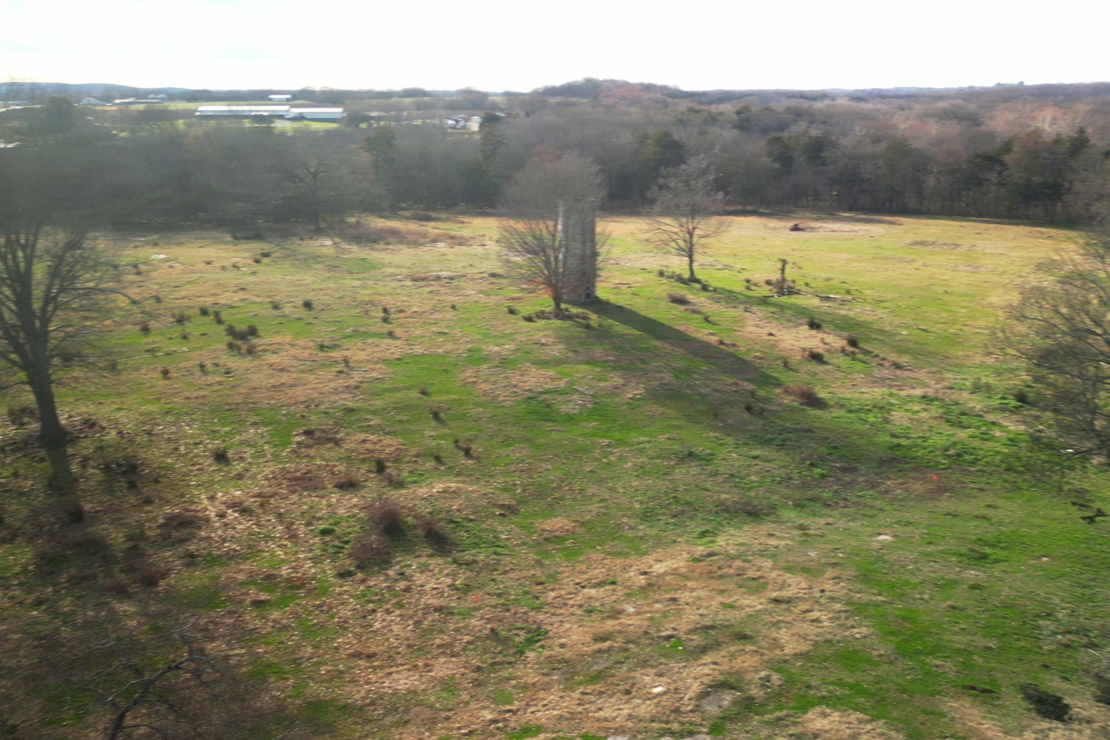 misc-ground-detail-41