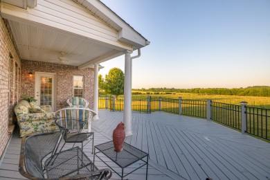 Back-Porch-132-North-Point-Drive-Shelbyville-TN-Real-Estate-2