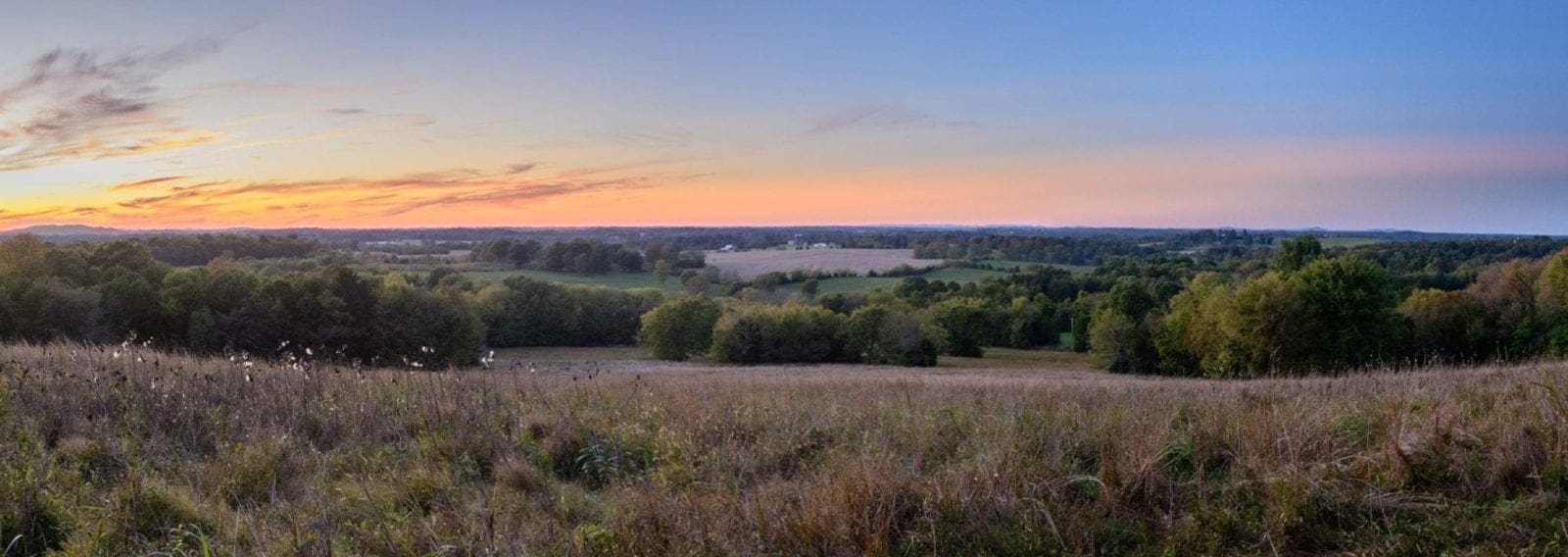 Snell Rd Acreage