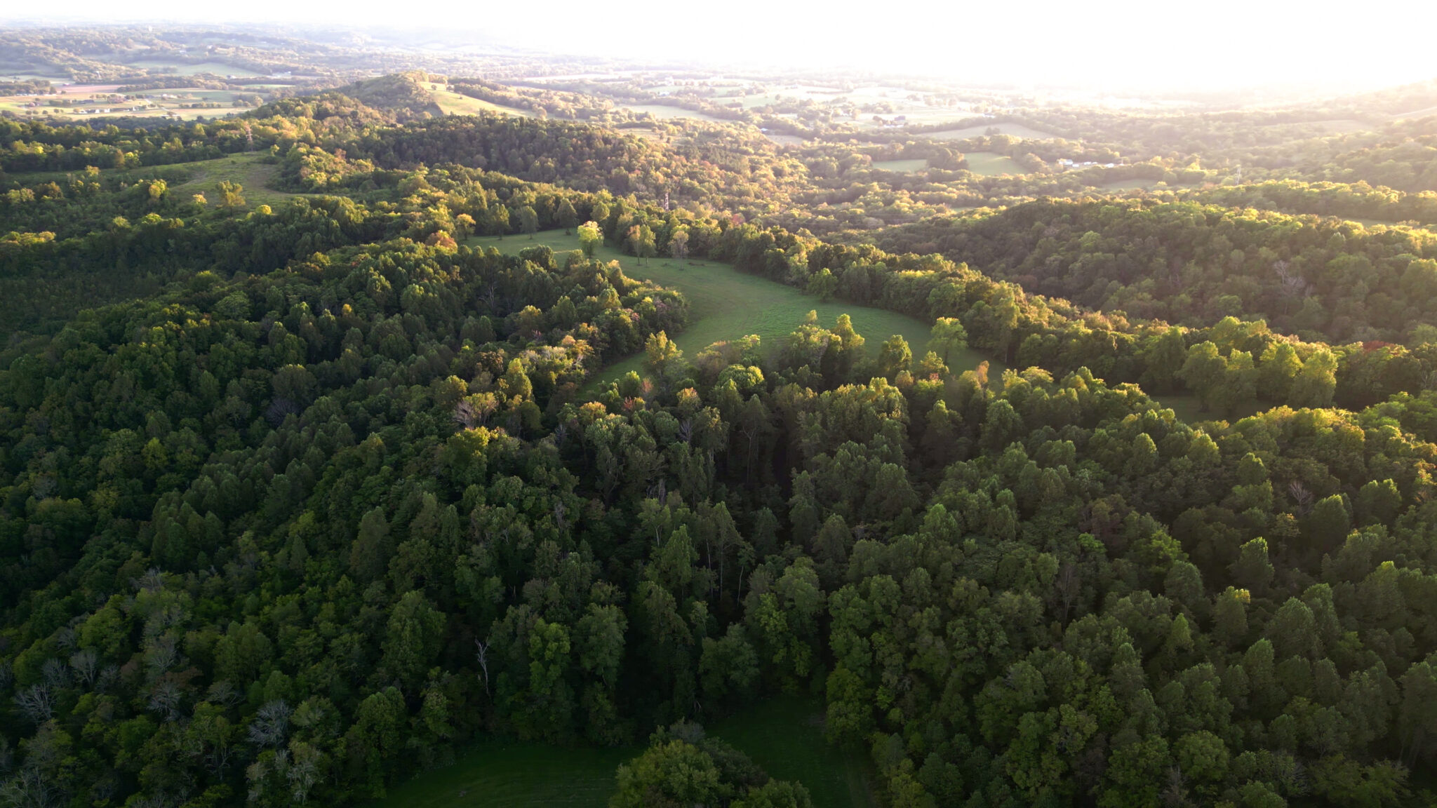 0 Lazy Branch Rd, Normandy TN Land